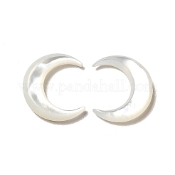 Shell perle bianche naturali&nbsp;BSHE-E026-11
