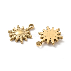 Pendentifs en acier inoxydable 304 avec placage ionique (IP)&nbsp;STAS-H165-21G