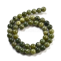 Natürliche Kanada Jade Perlenstränge&nbsp;G-NH0029-02A