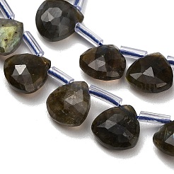 Natur Labradorit Perlen Stränge&nbsp;G-C292-A09-01