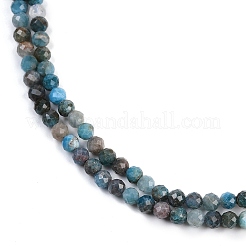 Perline apatite naturale fili&nbsp;G-F782-B05-03