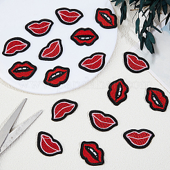 40 Stück 2 Stile Lippe Polyester computergesteuerte Stickerei Stoff zum Aufbügeln/Aufnähen Patches&nbsp;DIY-GF0012-58