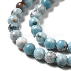 Fili di perline di gemstone naturale&nbsp;G-F730-02A