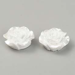 Cabochons di opaco resina&nbsp;CRES-WH0010-032C-04