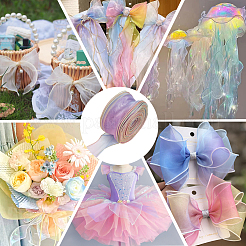 1 sachet de ruban organza dégradé de couleurs&nbsp;OHAR-CY0001-01C