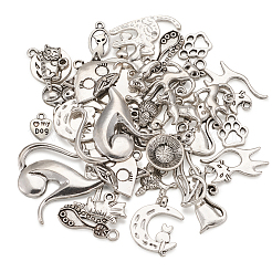 Tibetische Stil Anhänger & Charms&nbsp;TIBEP-TA0002-19