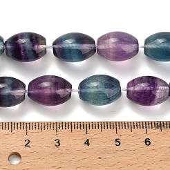 Natürlichen Fluorit Perlen Stränge&nbsp;G-L634-H01-14x10mm
