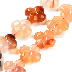 Filo di perline di agata naturale&nbsp;G-H024-C01-01