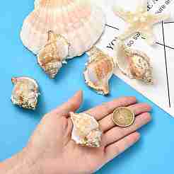 5 pendentif en coquillage naturel avec bord en laiton doré&nbsp;BSHE-YW0001-16