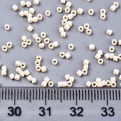 FGB 11/0 Glasperlen der Güteklasse A&nbsp;SEED-S030-1012