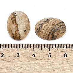 Cabochon di diaspro dell'immagine naturale&nbsp;G-Q186-01C