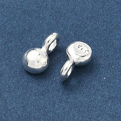 Breloques en 925 argent sterling&nbsp;STER-H119-05B-S