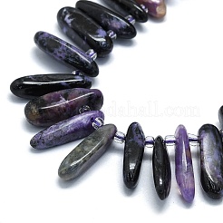 Naturperlen Stränge charoite&nbsp;G-G106-J05-01