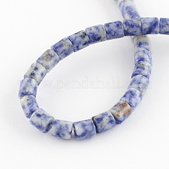 Brins de perles de jaspe de tache bleue naturelle&nbsp;G-R187-06