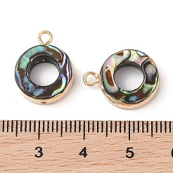 Natur Paua Muschel Anhänger&nbsp;SHEL-P017-18G