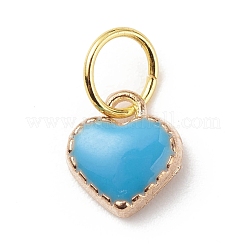 Legierung Emaille Anhänger / charms&nbsp;PALLOY-JF01770