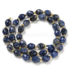 Natur Sodalith Perlen Stränge&nbsp;G-N342-37