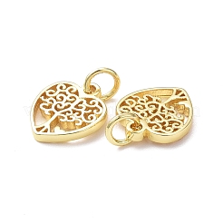 Rack Überzug Messing Charme&nbsp;KK-F849-03G