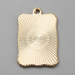 Emaille Anhänger Legierung&nbsp;ENAM-WH0064-24C