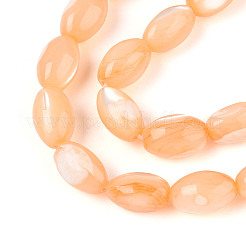 Brins de perles de coquillages naturels de troca&nbsp;SHEL-K006-19-01G