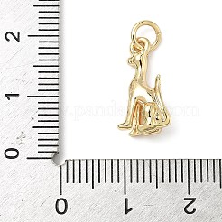 Pendentifs en laiton&nbsp;ZIRC-I356-04G-03