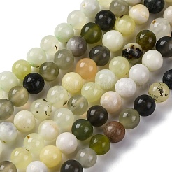 Chapelets de perles en jade naturelle nouvelle&nbsp;G-F591-16-6MM