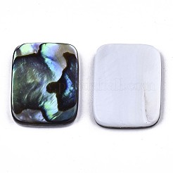 Cabochon di conchiglia abalone naturale / paua shell&nbsp;SSHEL-N034-76A-01
