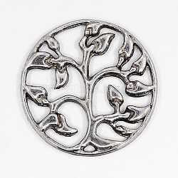 Tibetan Style Pendants, Lead Free, Nickel Free and Cadmium Free, Antique Silver, Flat Round, 23x2mm, Hole: 1mm