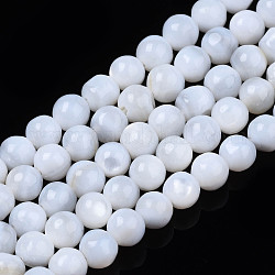 Natural Freshwater Shell Beads Strands, Round, White, 4mm, Hole: 0.8mm, about 97~99pcs/strand, 14.88 inch~15.16 inch(37.8~38.5cm)