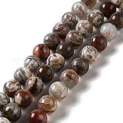 Perles en agate mexicaine naturelle, ronde, 10mm, Trou: 1mm, Environ 39 pcs/chapelet, 15.35'' (39 cm)