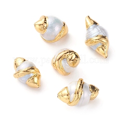 Natural Cultured Freshwater Pearl Beads, Covered with Brass, Golden Plated, Olive Shape, Seashell Color, 19~25x12~15mm, Hole: 0.8mm