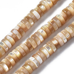 Fili di perle di conchiglia trochid naturale / trochus, Rotondo piatto / disco, perline Heishi, Burlywood, 6x2mm, Foro: 0.7 mm, circa 174~176pcs/filo, 15.94 pollice (40.5 cm)