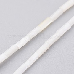 Conchiglia naturale fili di perle, tinto, colonna, bianco floreale, 6x2mm, Foro: 0.5 mm, circa 67pcs/filo, 15.2 pollice