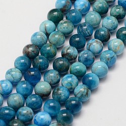 Natürliche Apatit Perlen Stränge, Runde, 6.5 mm, Bohrung: 1 mm, ca. 62 Stk. / Strang, 15.7 Zoll
