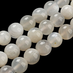 Naturelles perles pierre de lune blanc brins, grade AB, ronde, blanc, 6mm, Trou: 0.8mm, environ 61 perle / Chapelet.