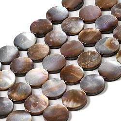 Chapelets de perles en coquillage naturel, plat rond, 12x2~2.5mm, Trou: 0.8mm, Environ 33 pcs/chapelet, 15.87''~16.02'' (40.3~40.7 cm)