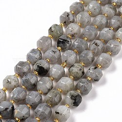 Natur Labradorit Perlen Stränge, mit Glasperlen, facettierte Doppelkegeltrommel, 9.5x8.5 mm, Bohrung: 1.2 mm, ca. 31 Stk. / Strang, 14.17 Zoll (36 cm)