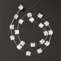 Natural White Shell Mother of Pearl Shell Beads, Bear Head, Creamy White, 9.5x10.5x3.5mm, Hole: 0.9mm, about 20pcs/strand, 18.90''(48cm)