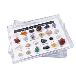 天然石ナゲットコレクション  地球科学教育用  箱：90x60x20ミリ  宝石：8~14x5~8mm  24個/箱