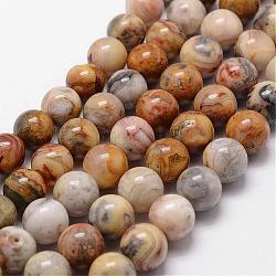 Chapelets de perles en agate fou naturel, ronde, 12mm, Trou: 1mm, Environ 31 pcs/chapelet, 15 pouce