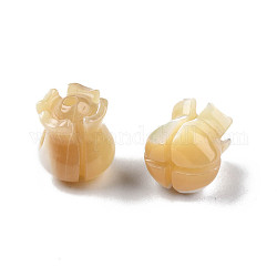 Perle trochid naturali / conchiglie trochus, fiore, 7.5~8x7x7mm, Foro: 1 mm