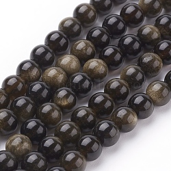 Chapelets de perles en obsidienne dorée naturelle, ronde, 6mm, Trou: 1mm, 31 pcs / chapelet, 8 pouce