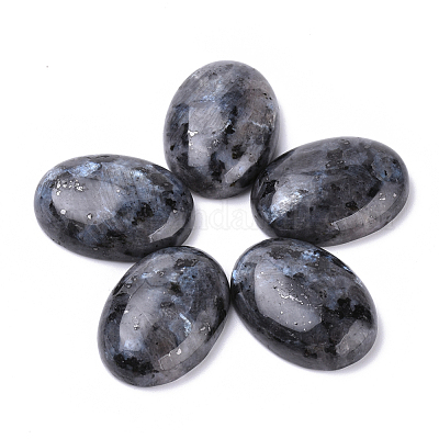 Natur Labradorit Cabochons&nbsp;X-G-T062-19-1