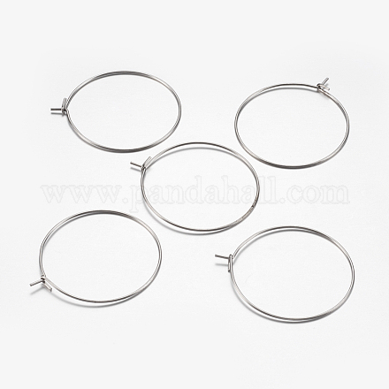 316 Surgical Stainless Steel Hoop Earrings Findings STAS-I097-050A-1