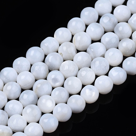 Eau douce naturelle de coquillage perles brins SHEL-N003-24-A01-1