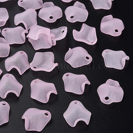 Perles en acrylique transparente X-MACR-S373-106-D05-1