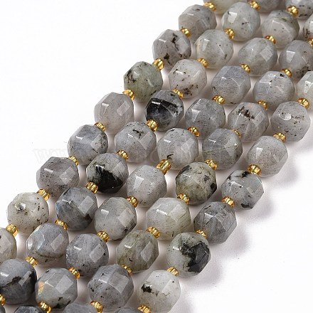 Chapelets de perles en labradorite naturelle  G-G990-F04-1