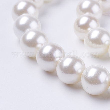 Chapelets de perles de coquille X-BSHE-L035-6mm-I13-1