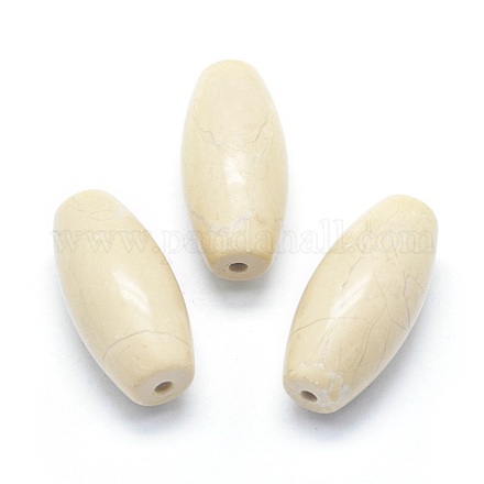 Natural Fossil Coral Beads G-P384-T15-1