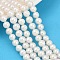Natural Cultured Freshwater Pearl Beads Strands, Potato, Seashell Color, 7~8mm, Hole: 0.7mm, about 54~55pcs/strand, 14.09~14.37 inch(35.8~36.5cm)